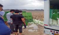 انهدام بیش از 5800 کیلوگرم فرآورده خوراکی و آشامیدنی نامنطبق در زاهدان