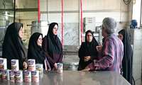 بررسی مشکلات بانوان شاغل در واحدهای تولیدی مواد غذایی 